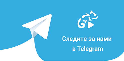 канал в telegram 163.spravo4ki-z.ru
